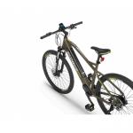 Rower elektryczny ECOBIKE SX300 GREEN