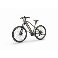 Electric bike ECOBIKE SX300 GREEN