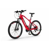 Electric bike ECOBIKE SX4